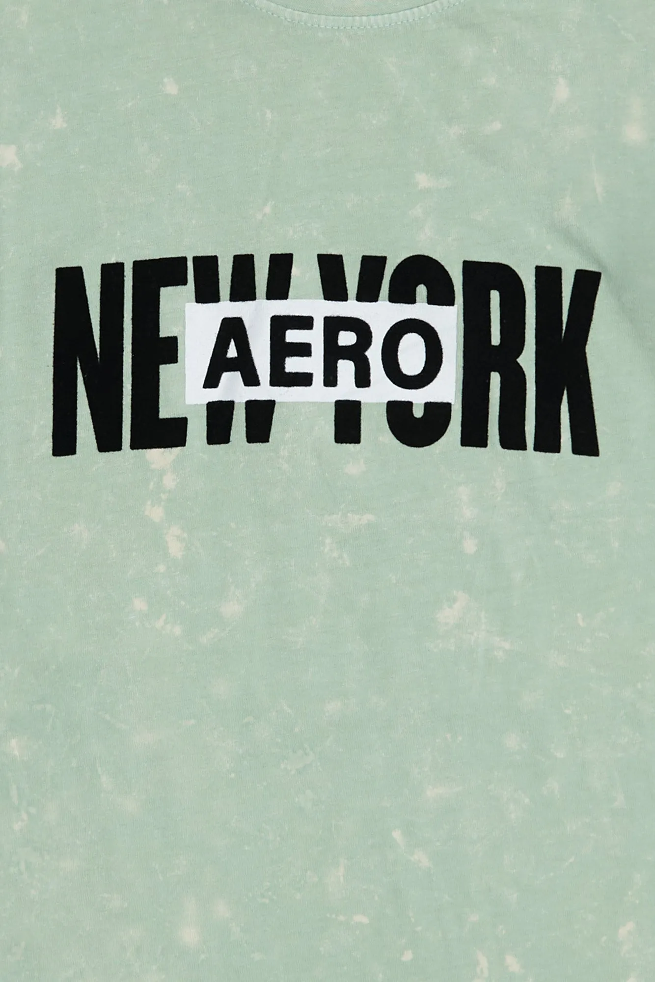 AERO New York Flocked Graphic Acid Wash Tee